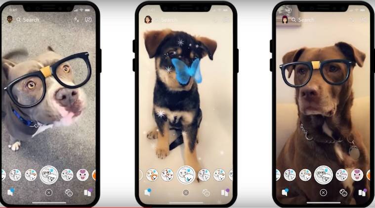 The Best Animal Snapchat Filters & Lenses