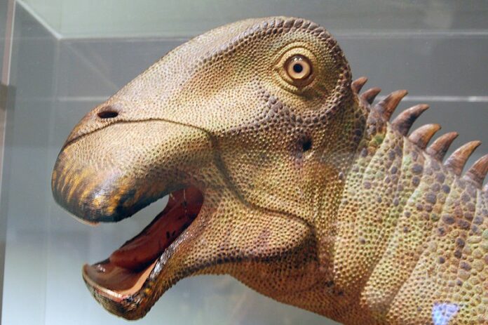 Dinosaur Nigersurus