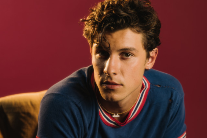 Everything Shawn Mendes Has Said About His Mental Health Battle