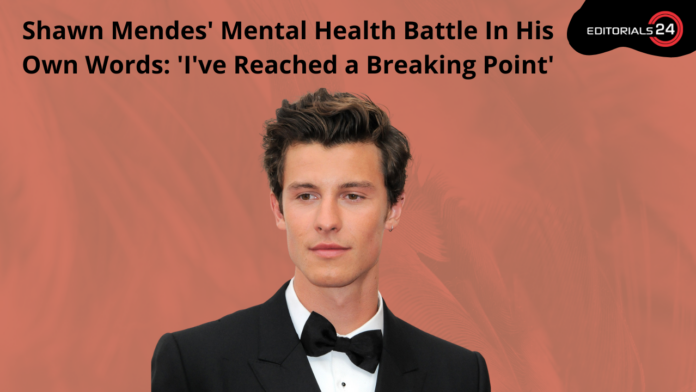 Everything Shawn Mendes Has Said About His Mental Health Battle