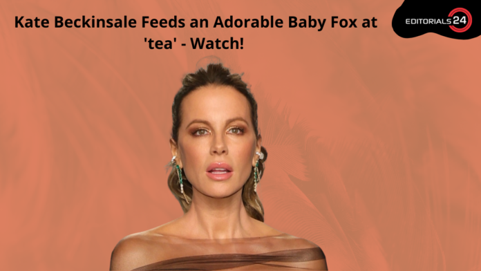 Kate Beckinsale Feeds an Adorable Baby Fox