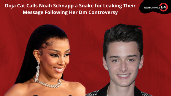 Noah Schnapp Reacts to Doja Cat Calling Him a 'Snake' and 'Weasel'