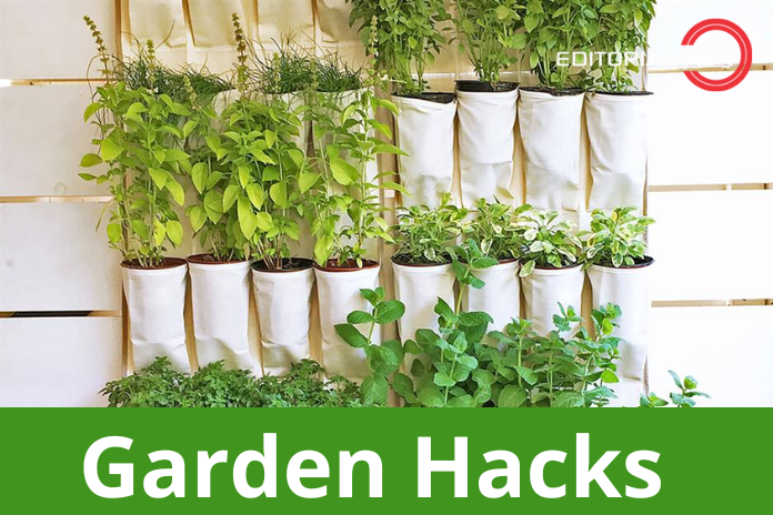 garden hacks