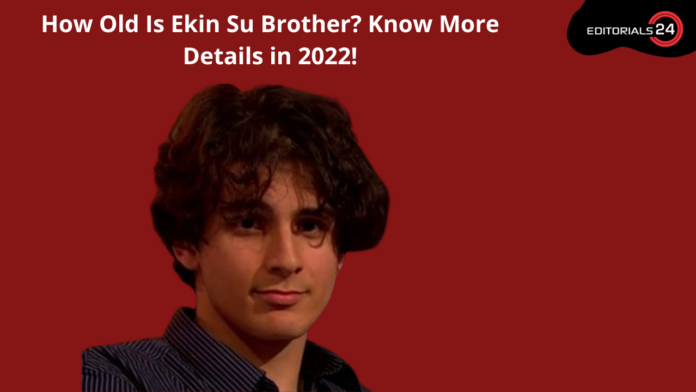 how old is ekin su brother