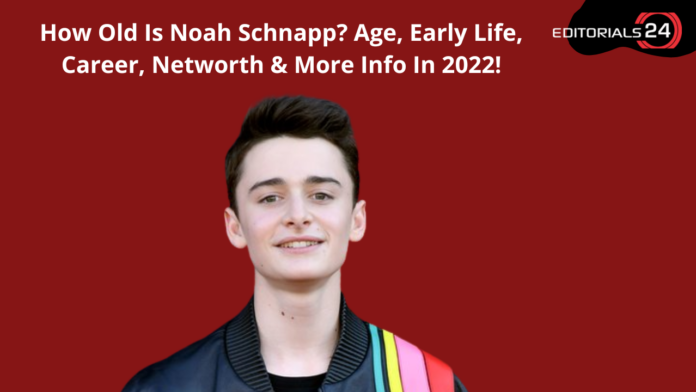 how old is noah schnapp