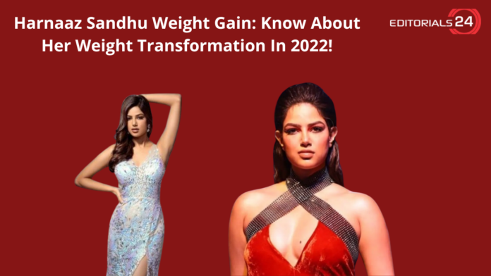 harnaaz sandhu weight gain