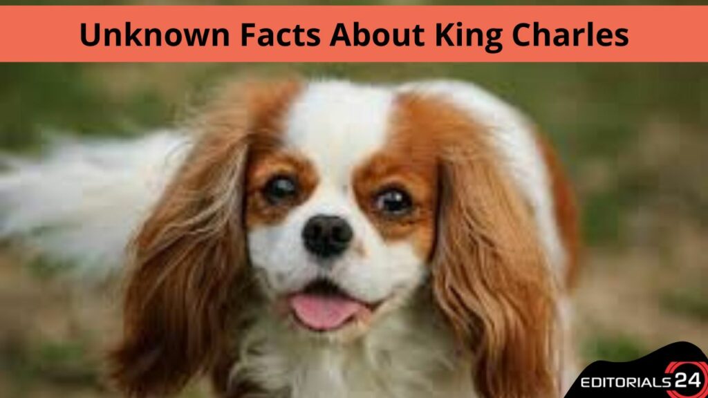 unknown facts about king charles
