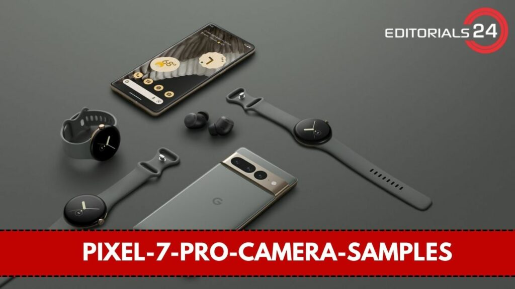 pixel-7-pro-camera-samples
