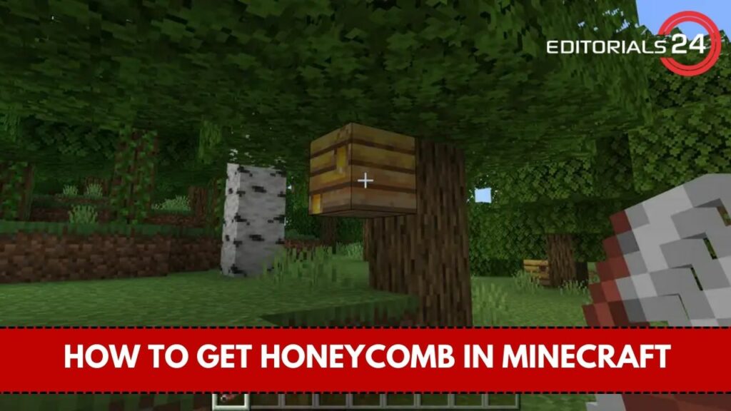 how to get honeycomb in minecraft
