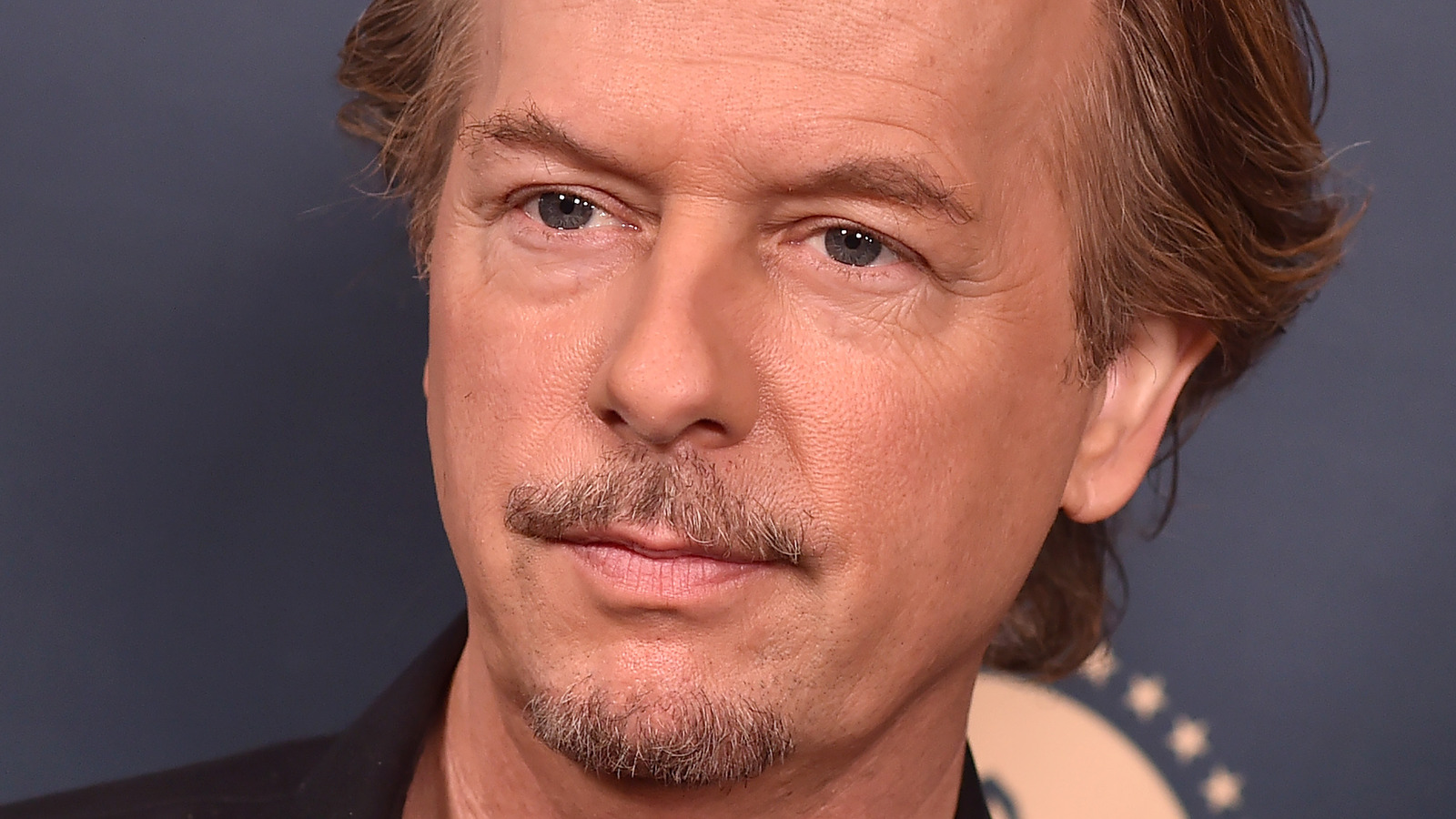unknown facts about david spade
