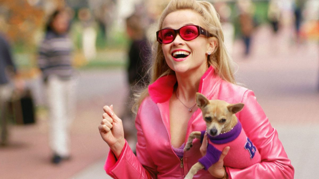 Legally Blonde 3 release date