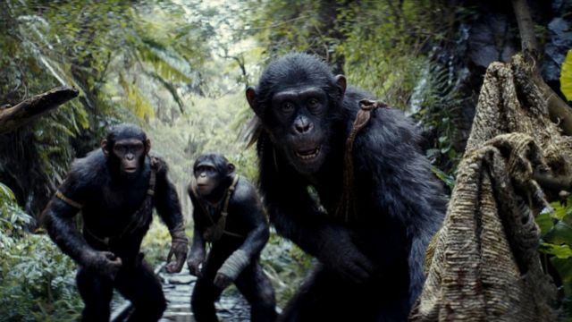 Kingdom of the Planet of the Apes Movie